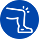 leg